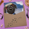 Paw Prints Dog Book Gift Wrap