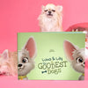 Cover of a personalized dog book featuring two Chihuahuas – ideal gift for two dogs or dog-loving families.