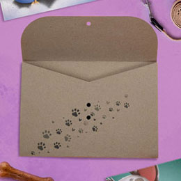 Paw Prints Dog Book Gift Wrap